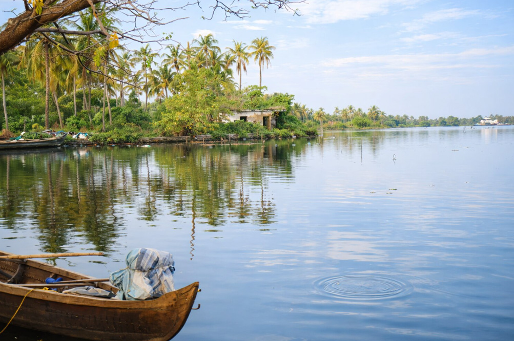 Backwater Views